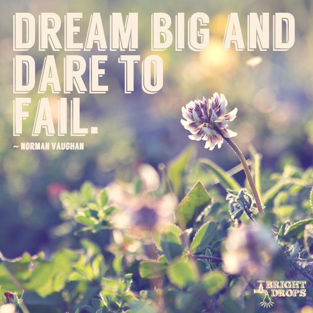 “Dream big and dare to fail.” ~Norman Vaughan