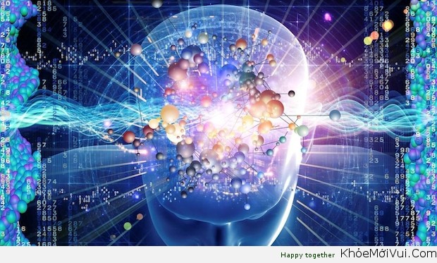 Molecular Thoughts
