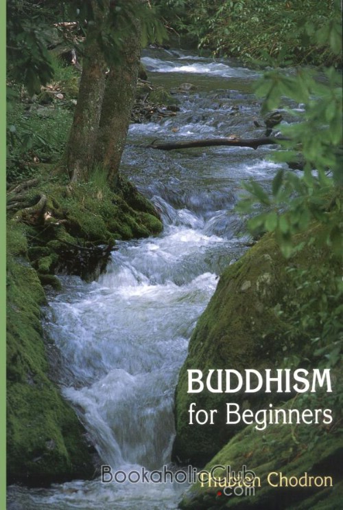 Buddhism for Beginners