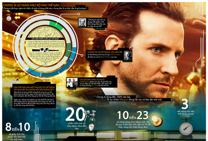 Chúng ta sử dụng não bộ như thế nào?